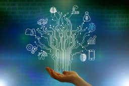 Real-time Data